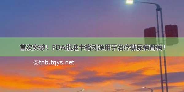 首次突破！FDA批准卡格列净用于治疗糖尿病肾病！