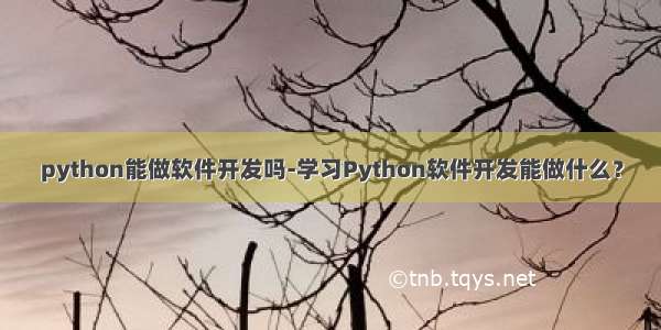 python能做软件开发吗-学习Python软件开发能做什么？