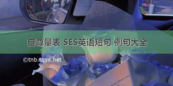 自尊量表 SES英语短句 例句大全