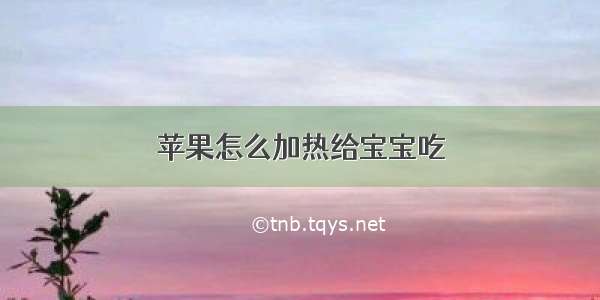 苹果怎么加热给宝宝吃