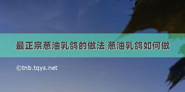 最正宗葱油乳鸽的做法 葱油乳鸽如何做