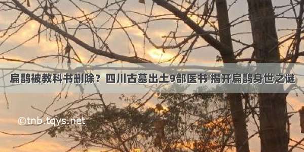 扁鹊被教科书删除？四川古墓出土9部医书 揭开扁鹊身世之谜