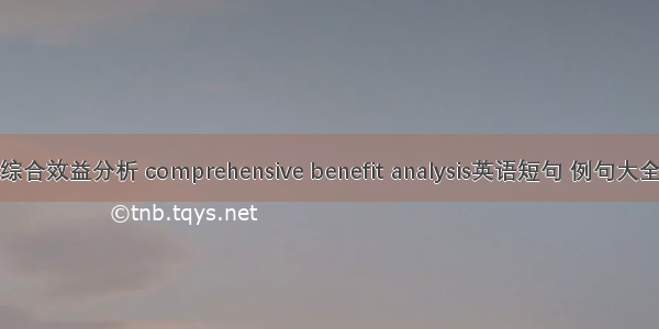 综合效益分析 comprehensive benefit analysis英语短句 例句大全