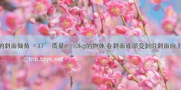 已知足够长的斜面倾角θ=37° 质量m=l0kg的物体 在斜面底部受到沿斜面向上的力F=100