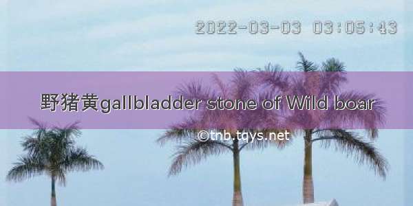 野猪黄gallbladder stone of Wild boar