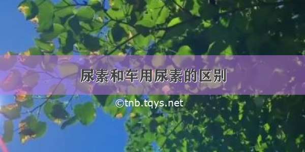 尿素和车用尿素的区别