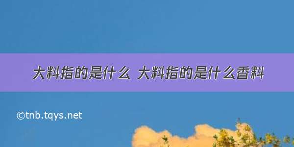 大料指的是什么 大料指的是什么香料