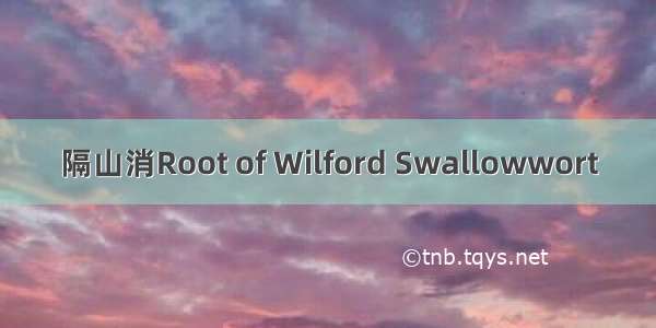 隔山消Root of Wilford Swallowwort