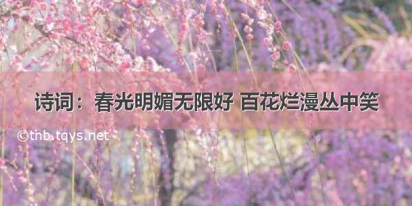 诗词：春光明媚无限好 百花烂漫丛中笑