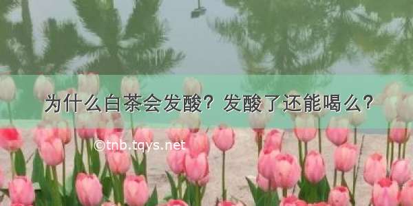 为什么白茶会发酸？发酸了还能喝么？