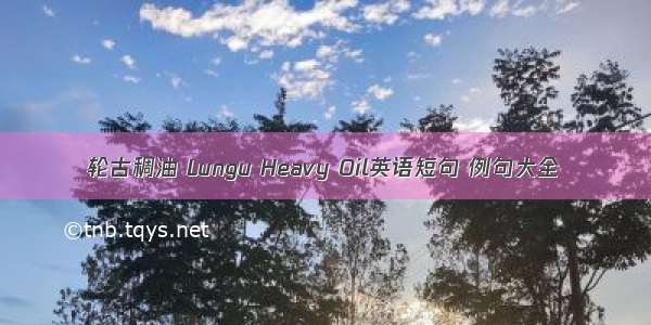 轮古稠油 Lungu Heavy Oil英语短句 例句大全