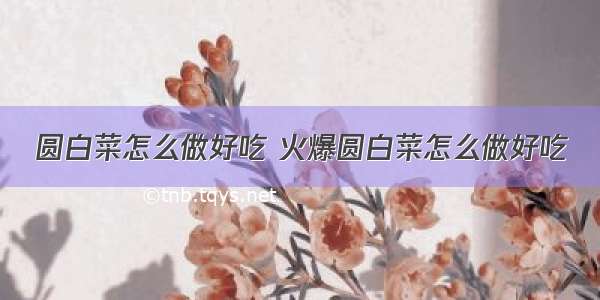 圆白菜怎么做好吃 火爆圆白菜怎么做好吃