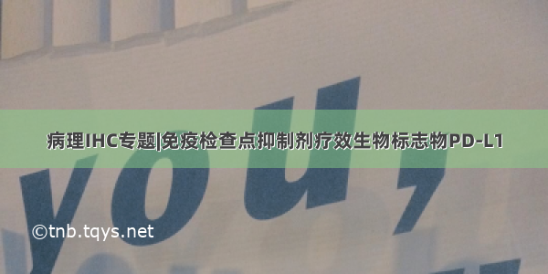 病理IHC专题|免疫检查点抑制剂疗效生物标志物PD-L1