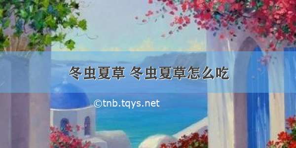 冬虫夏草 冬虫夏草怎么吃