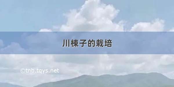 川楝子的栽培