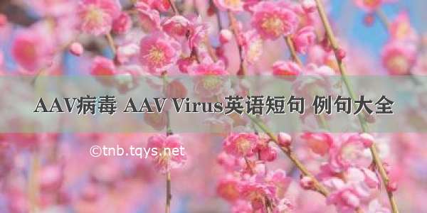 AAV病毒 AAV Virus英语短句 例句大全
