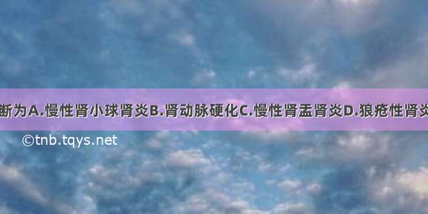 患者最可能诊断为A.慢性肾小球肾炎B.肾动脉硬化C.慢性肾盂肾炎D.狼疮性肾炎E.糖尿病肾病