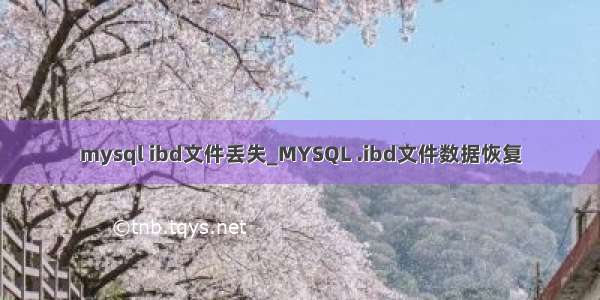 mysql ibd文件丢失_MYSQL .ibd文件数据恢复