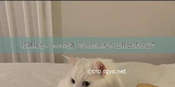 招聘报告：Java吃香 可为何朋友不让我进该行业？