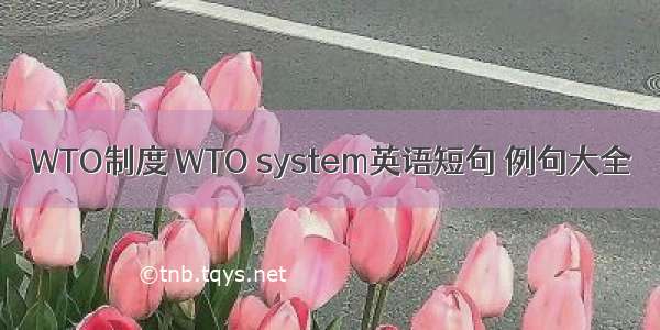 WTO制度 WTO system英语短句 例句大全