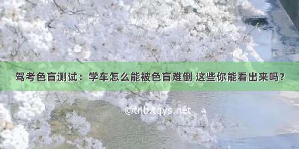 驾考色盲测试：学车怎么能被色盲难倒 这些你能看出来吗？