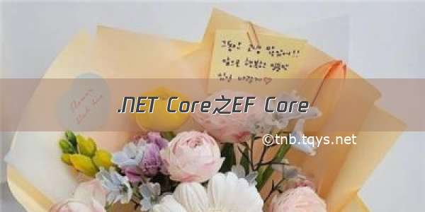 .NET Core之EF Core