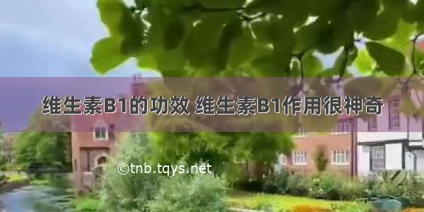 维生素B1的功效 维生素B1作用很神奇