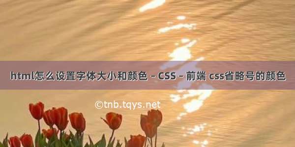 html怎么设置字体大小和颜色 – CSS – 前端 css省略号的颜色