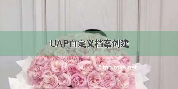 UAP自定义档案创建