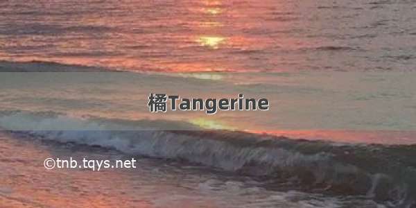 橘Tangerine