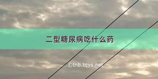 二型糖尿病吃什么药