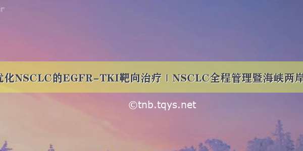 看真实世界数据 优化NSCLC的EGFR-TKI靶向治疗｜NSCLC全程管理暨海峡两岸交流会——武汉...