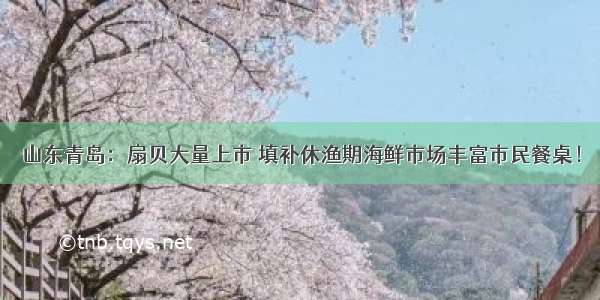 山东青岛：扇贝大量上市 填补休渔期海鲜市场丰富市民餐桌！