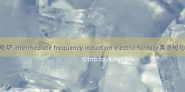 中频感应电炉 intermediate frequency induction electric furnace英语短句 例句大全