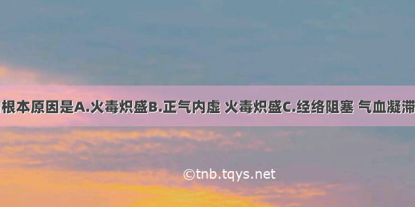 内陷发生的根本原因是A.火毒炽盛B.正气内虚 火毒炽盛C.经络阻塞 气血凝滞D.热盛肉腐