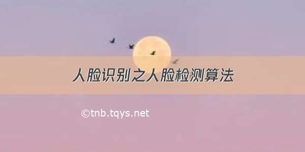 人脸识别之人脸检测算法