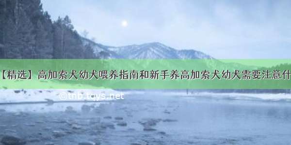 【精选】高加索犬幼犬喂养指南和新手养高加索犬幼犬需要注意什么