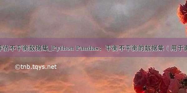 python评估不平衡数据集_Python Pandas：平衡不平衡的数据集（用于面板分析）