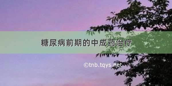 糖尿病前期的中成药治疗