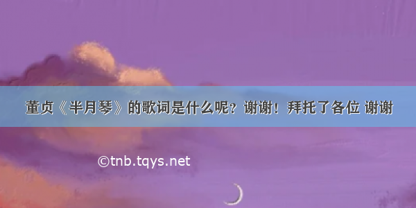 董贞《半月琴》的歌词是什么呢？谢谢！拜托了各位 谢谢