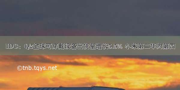 IDC：Q2全球可穿戴设备出货量增长5.5% 小米第二华为第四