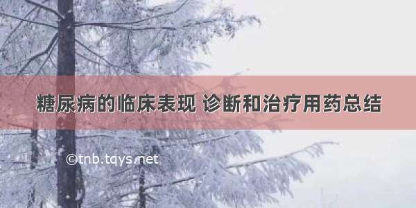 糖尿病的临床表现 诊断和治疗用药总结