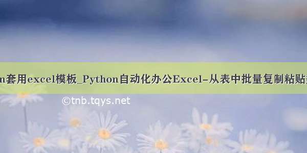 使用python套用excel模板_Python自动化办公Excel-从表中批量复制粘贴数据到新表