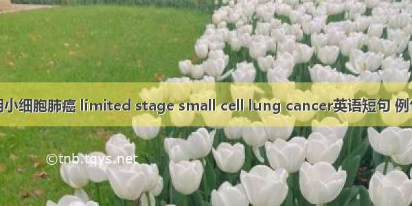 局限期小细胞肺癌 limited stage small cell lung cancer英语短句 例句大全