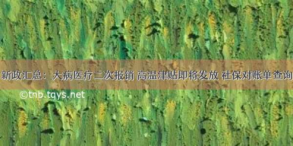 新政汇总：大病医疗二次报销 高温津贴即将发放 社保对账单查询