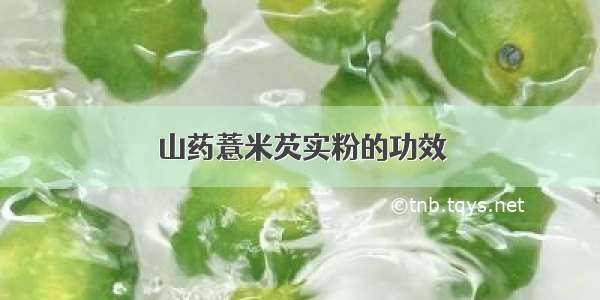 山药薏米芡实粉的功效