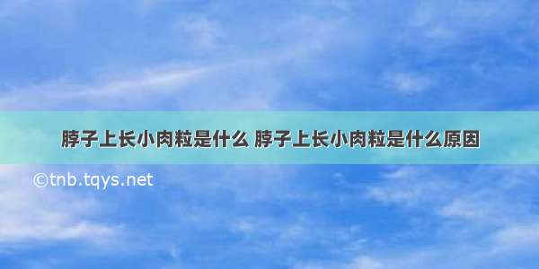 脖子上长小肉粒是什么 脖子上长小肉粒是什么原因