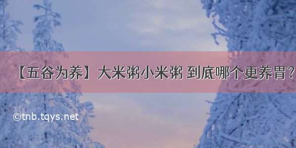 【五谷为养】大米粥小米粥 到底哪个更养胃？