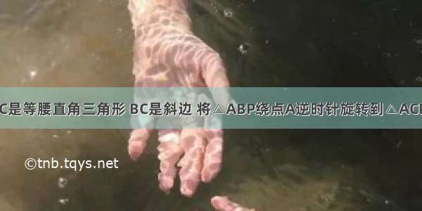 如图 △ABC是等腰直角三角形 BC是斜边 将△ABP绕点A逆时针旋转到△ACP′的位置 如