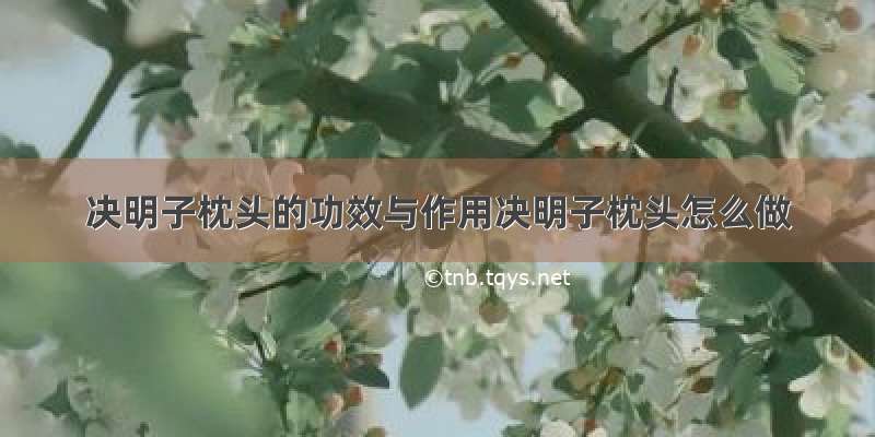 决明子枕头的功效与作用决明子枕头怎么做